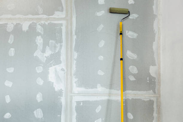 Best Black Mold Removal  in Bensenvle, IL