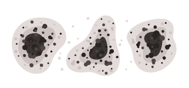 Best Mold-Related Health Consultation  in Bensenvle, IL