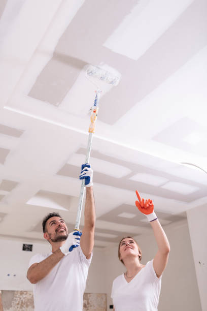 Best Water Damage & Mold Remediation  in Bensenvle, IL