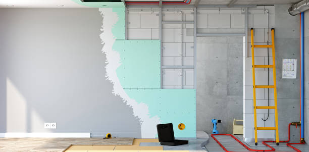 Best HVAC Mold Inspection and Cleaning  in Bensenvle, IL