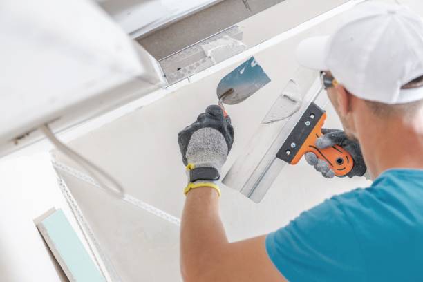 Best Biohazard Mold Removal  in Bensenvle, IL